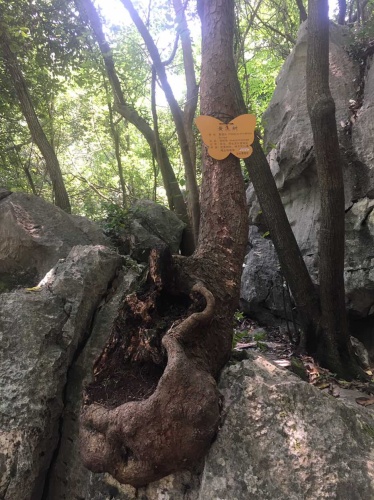 玉女山庄景区