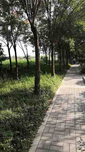 安阳高铁生态廊道