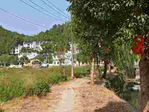 洪村