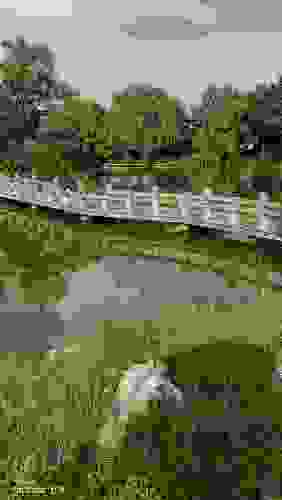 舒景园