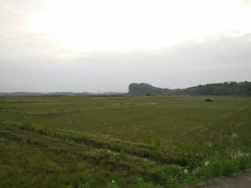 万魁塔