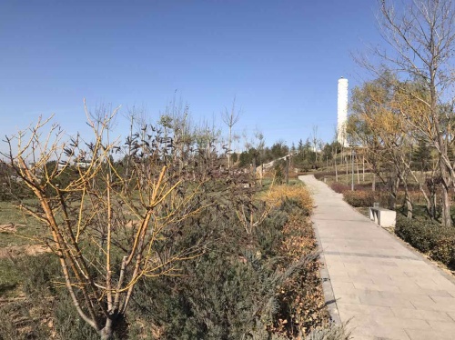 阳泉龙柱公园