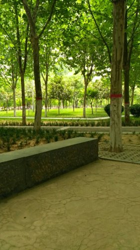 丈八沟公园