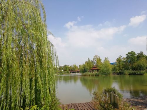 鸽子湖公园