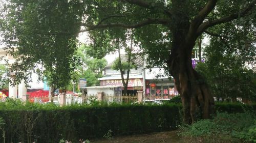 建强公园