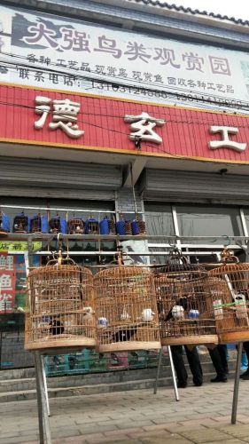 大强鸟类观赏园