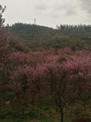 四明山杖锡风景区