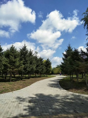 地坤湖公园