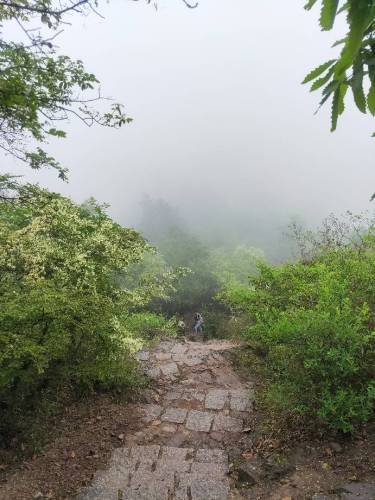 千岛湖桃花岛