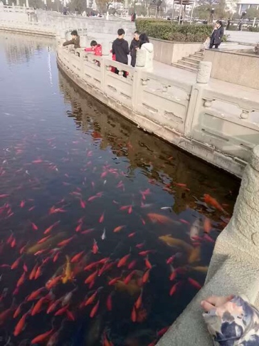 兴安公园