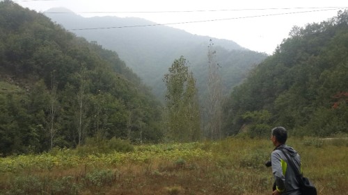 杨山风景区
