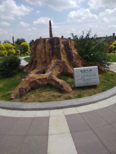 恐龙化石产地