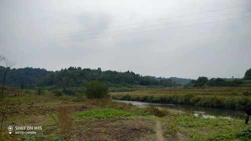 青山村乡村旅游景点