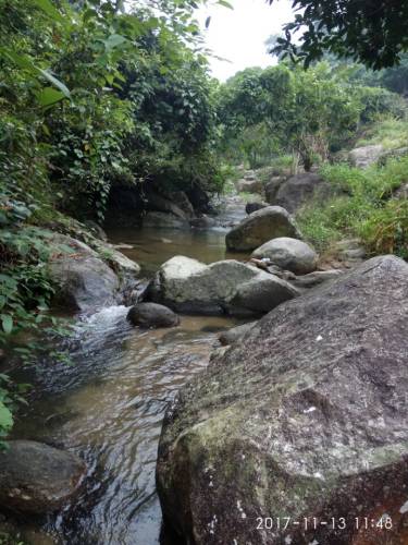 高林情人谷旅游区