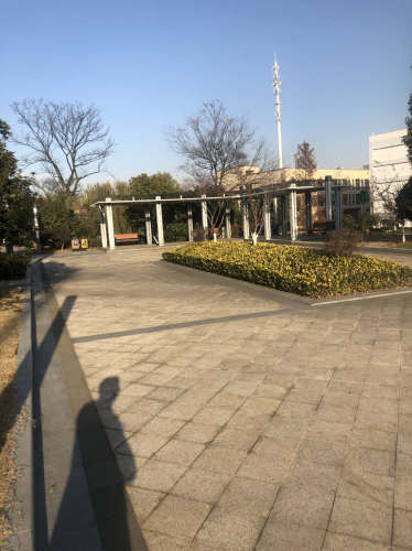 百合湖公园