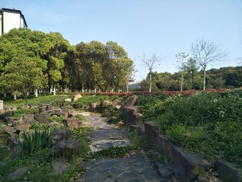 澄园
