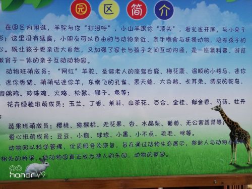 萌宝亲子动物园