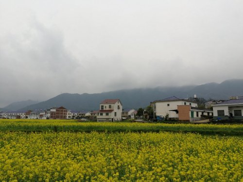 五魁山