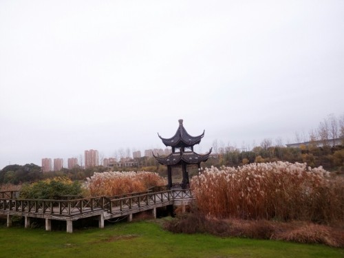 东方母爱公园