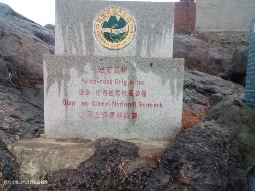岩石鼻祖