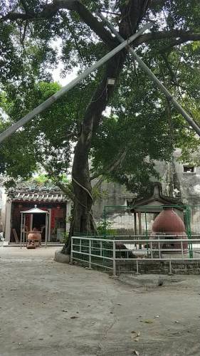 维立公厅