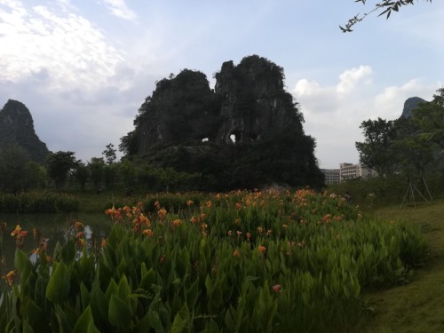 崇华中医街