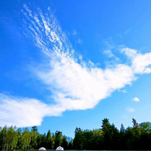 红松王景区