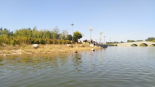 阳光公园