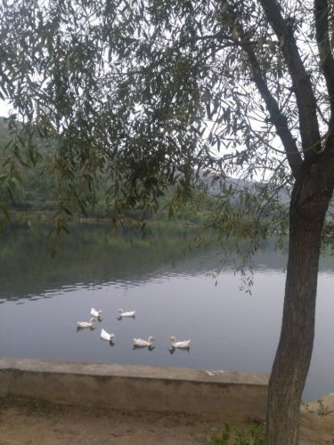 西口底水库旅游区