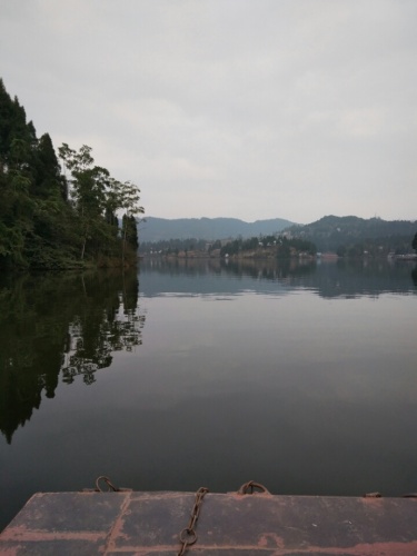望龙湖森林公园