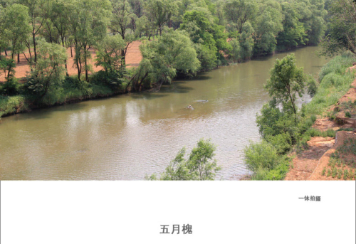 红石坪