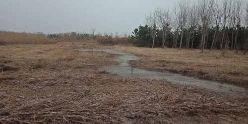 桑沟湾湿地公园