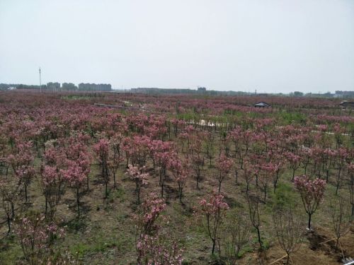 谷阳城遗址公园