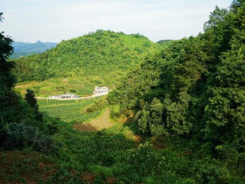 天坪组旅游景点