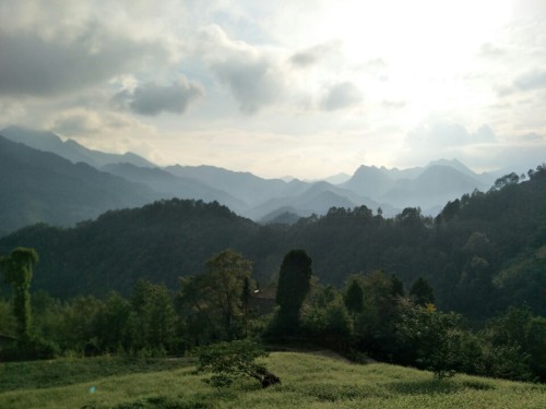 茶坝矛坝子
