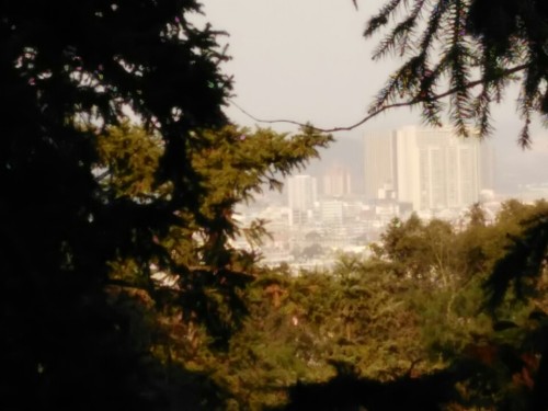 石门森林公园