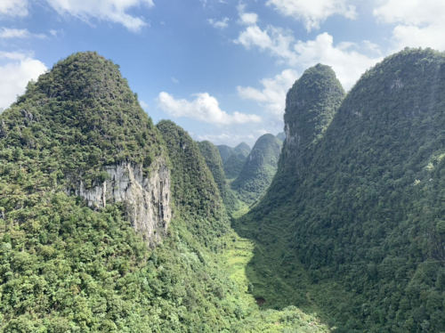 播雨峰林观景台