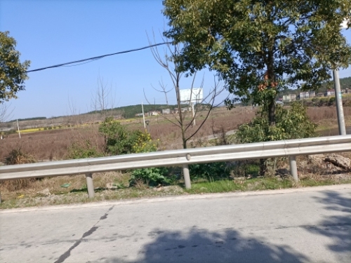 耒阳市大市镇花海