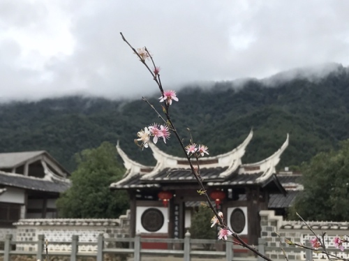 中华桂花文化园