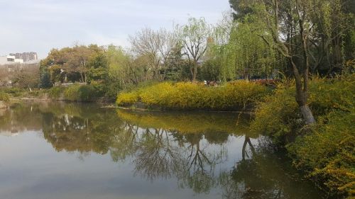 百花园