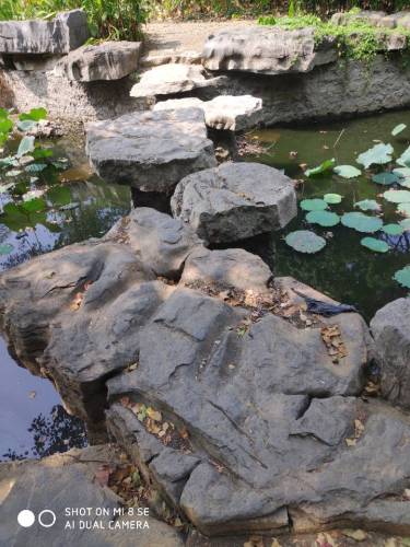 燕湖公园