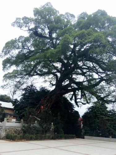 观音山公园