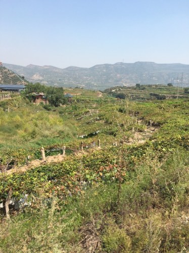 葡峰山荘