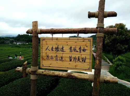 凤冈县茶海之心景区