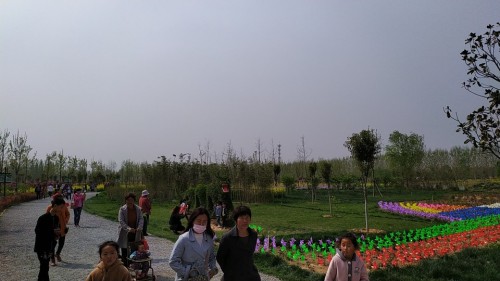 黄河湿地鸟类国家级自然保护区