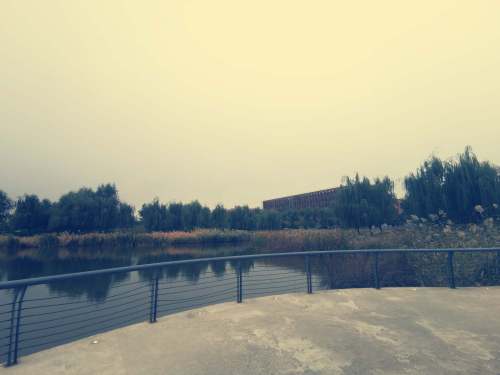 东北大学浑南校区小南湖公园