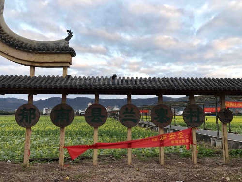 郁南连滩油菜花