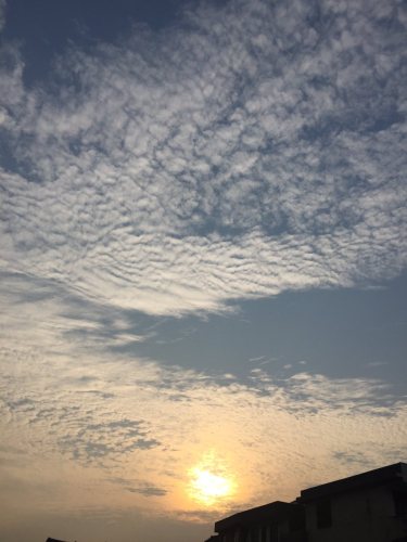 田峒湾