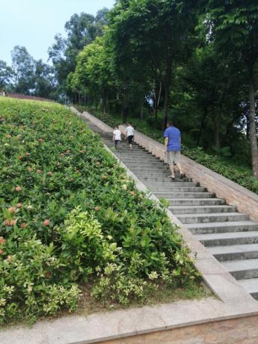 罗租岭公园