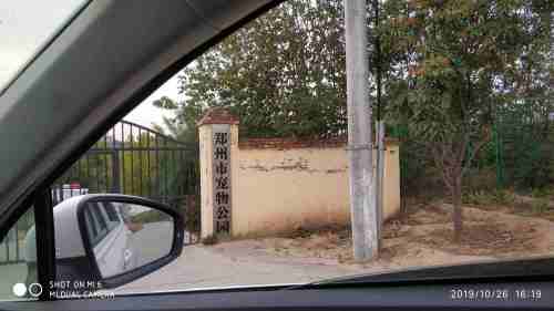 郑州市宠物公园